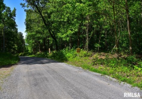 000 Robinson Hill Road, Stonefort, Illinois 62987, ,Land,For Sale,Robinson Hill,RMACA1036795