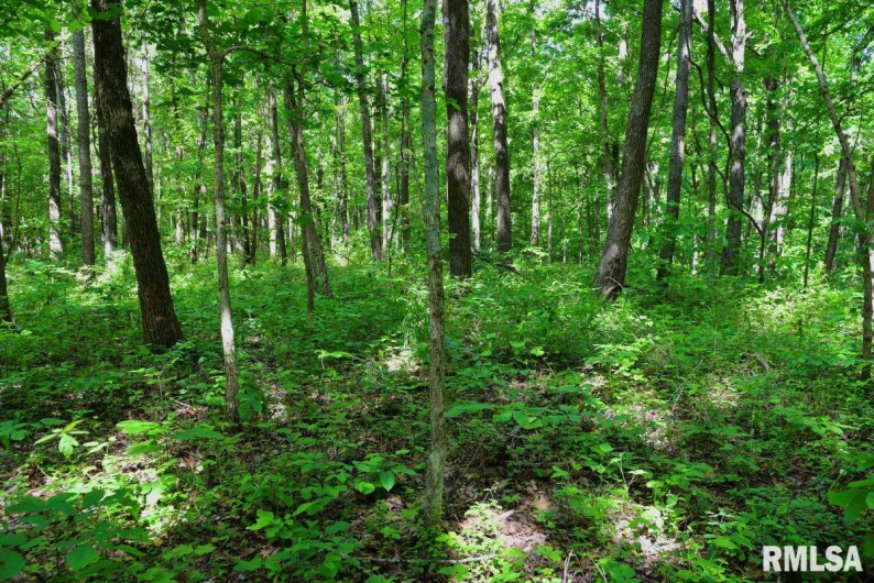 000 Robinson Hill Road, Stonefort, Illinois 62987, 0 , 0 ,0,Land,For Sale,Robinson Hill,0,RMACA1036795