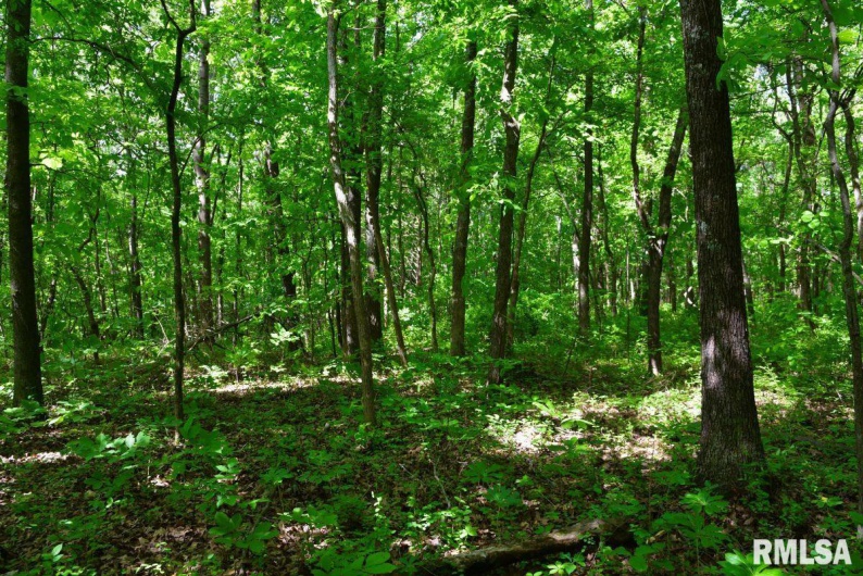 000 Robinson Hill Road, Stonefort, Illinois 62987, 0 , 0 ,0,Land,For Sale,Robinson Hill,0,RMACA1036795