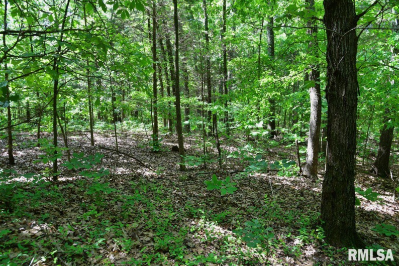 000 Robinson Hill Road, Stonefort, Illinois 62987, 0 , 0 ,0,Land,For Sale,Robinson Hill,0,RMACA1036795