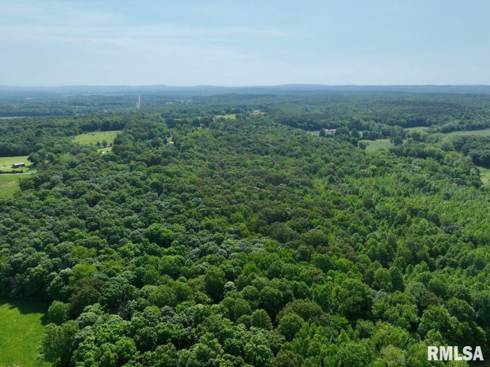 000 Robinson Hill Road, Stonefort, Illinois 62987, 0 , 0 ,0,Land,For Sale,Robinson Hill,0,RMACA1036795
