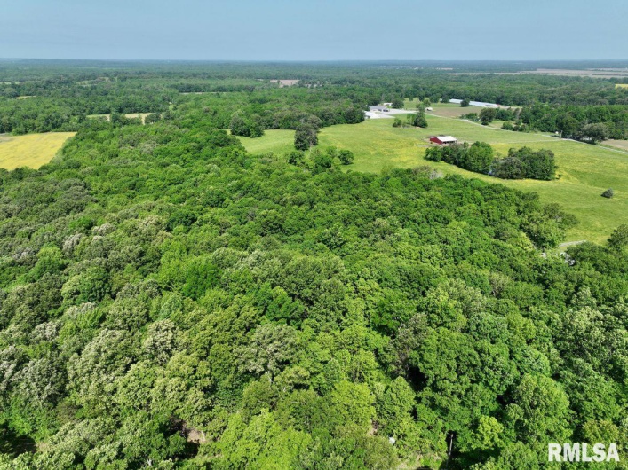000 Robinson Hill Road, Stonefort, Illinois 62987, 0 , 0 ,0,Land,For Sale,Robinson Hill,0,RMACA1036795