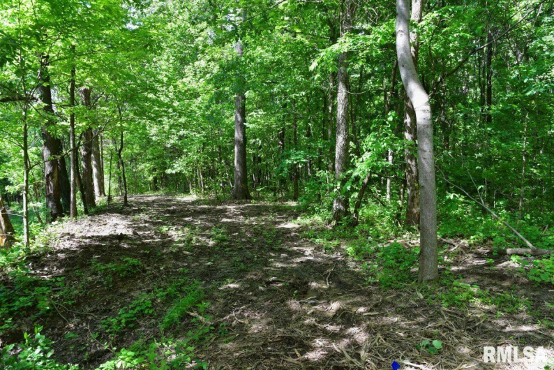 000 Robinson Hill Road, Stonefort, Illinois 62987, 0 , 0 ,0,Land,For Sale,Robinson Hill,0,RMACA1036795