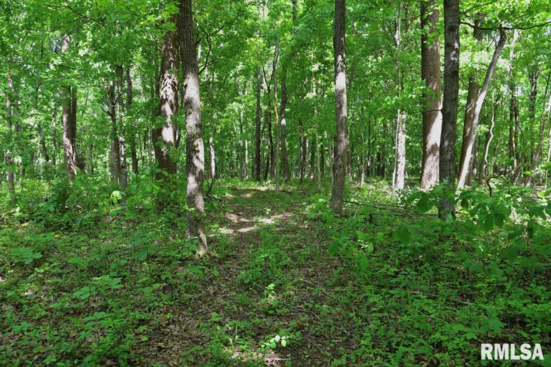 000 Robinson Hill Road, Stonefort, Illinois 62987, 0 , 0 ,0,Land,For Sale,Robinson Hill,0,RMACA1036795