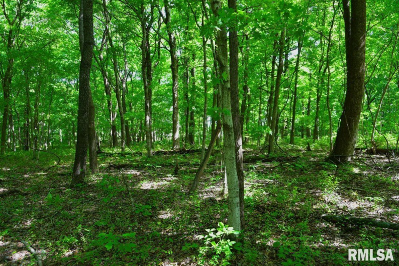000 Robinson Hill Road, Stonefort, Illinois 62987, 0 , 0 ,0,Land,For Sale,Robinson Hill,0,RMACA1036795