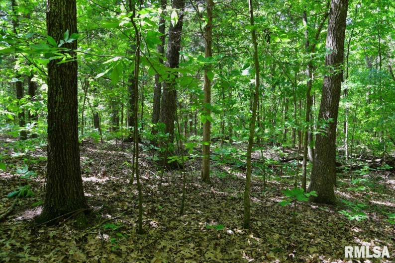 000 Robinson Hill Road, Stonefort, Illinois 62987, 0 , 0 ,0,Land,For Sale,Robinson Hill,0,RMACA1036795