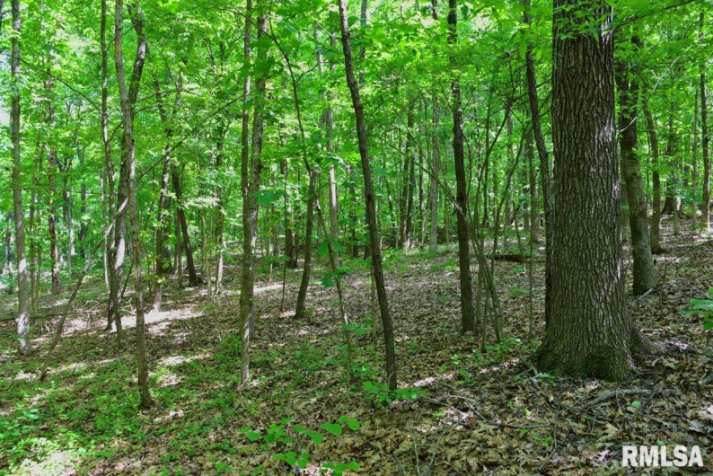 000 Robinson Hill Road, Stonefort, Illinois 62987, 0 , 0 ,0,Land,For Sale,Robinson Hill,0,RMACA1036795