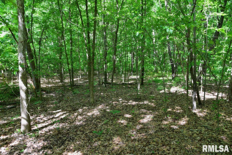 000 Robinson Hill Road, Stonefort, Illinois 62987, 0 , 0 ,0,Land,For Sale,Robinson Hill,0,RMACA1036795
