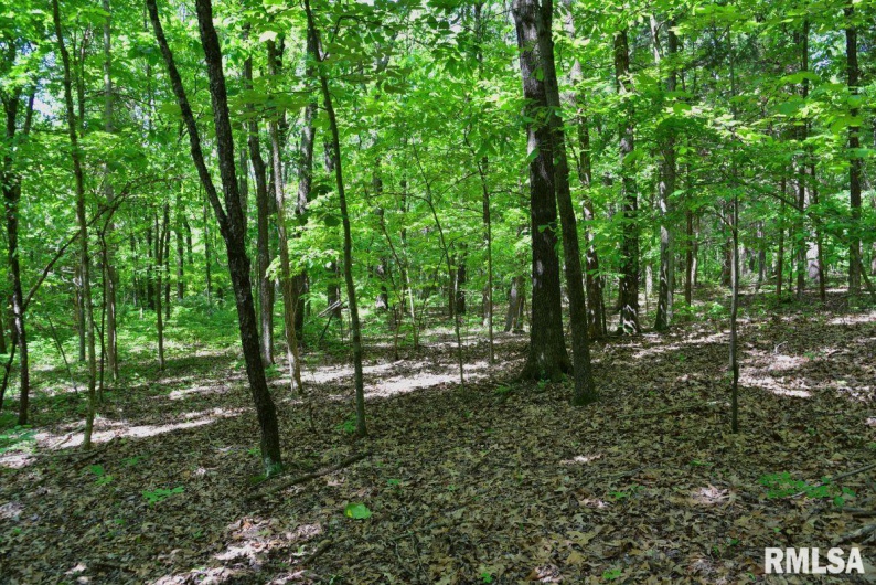 001 Robinson Hill Road, Stonefort, Illinois 62987, 0 , 0 ,0,Land,For Sale,Robinson Hill,0,RMACA1036796