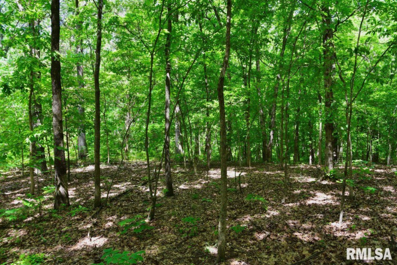001 Robinson Hill Road, Stonefort, Illinois 62987, 0 , 0 ,0,Land,For Sale,Robinson Hill,0,RMACA1036796