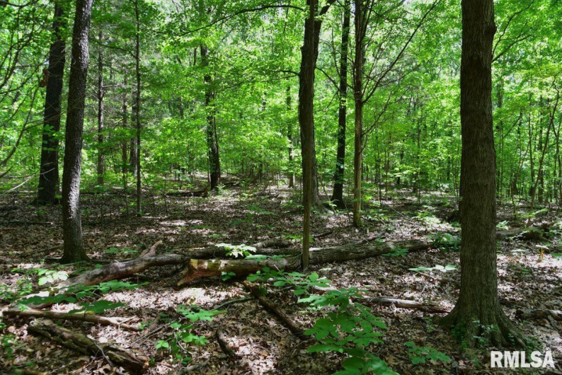 001 Robinson Hill Road, Stonefort, Illinois 62987, 0 , 0 ,0,Land,For Sale,Robinson Hill,0,RMACA1036796