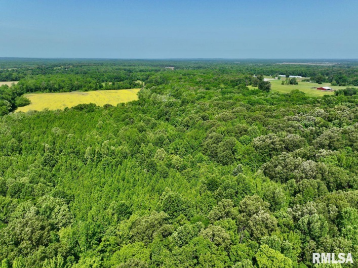 001 Robinson Hill Road, Stonefort, Illinois 62987, 0 , 0 ,0,Land,For Sale,Robinson Hill,0,RMACA1036796