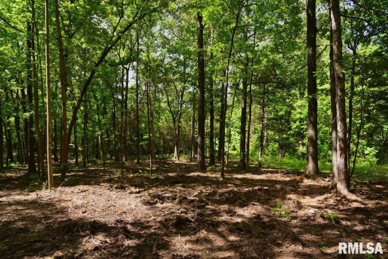 001 Robinson Hill Road, Stonefort, Illinois 62987, 0 , 0 ,0,Land,For Sale,Robinson Hill,0,RMACA1036796