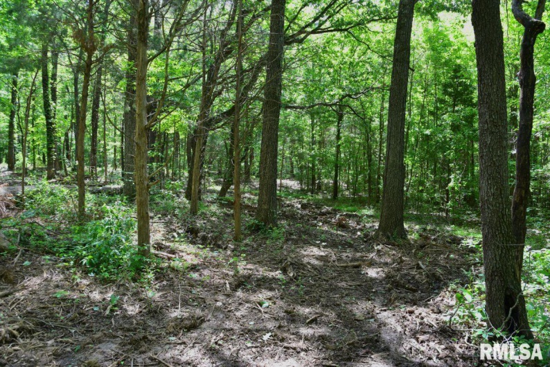 001 Robinson Hill Road, Stonefort, Illinois 62987, 0 , 0 ,0,Land,For Sale,Robinson Hill,0,RMACA1036796