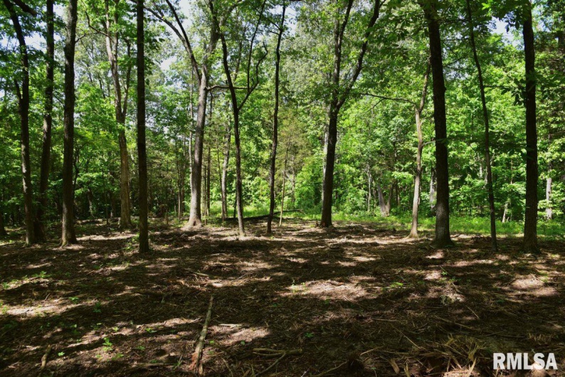 001 Robinson Hill Road, Stonefort, Illinois 62987, 0 , 0 ,0,Land,For Sale,Robinson Hill,0,RMACA1036796