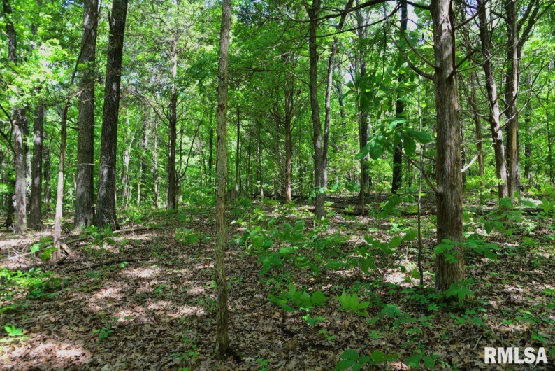 001 Robinson Hill Road, Stonefort, Illinois 62987, 0 , 0 ,0,Land,For Sale,Robinson Hill,0,RMACA1036796