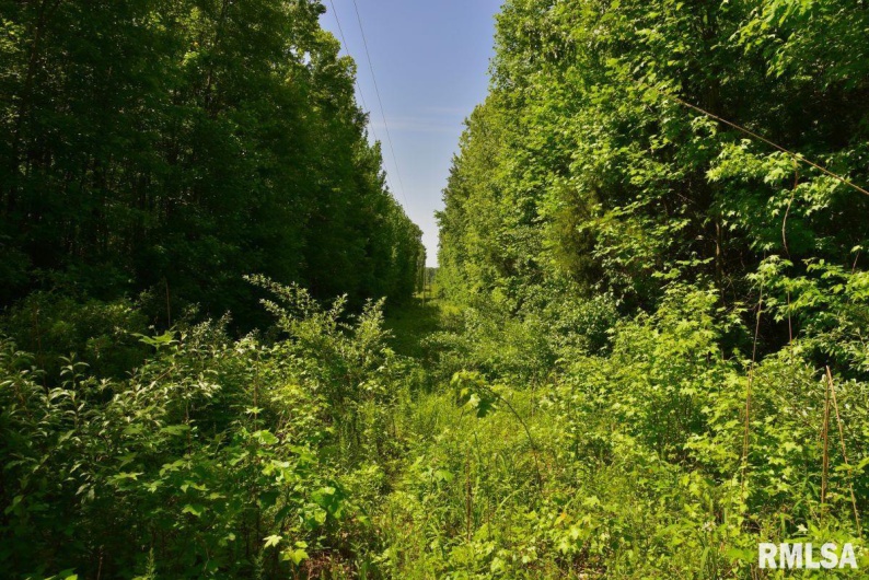 001 Robinson Hill Road, Stonefort, Illinois 62987, 0 , 0 ,0,Land,For Sale,Robinson Hill,0,RMACA1036796
