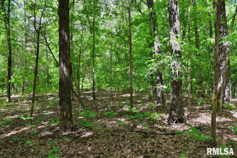 001 Robinson Hill Road, Stonefort, Illinois 62987, 0 , 0 ,0,Land,For Sale,Robinson Hill,0,RMACA1036796