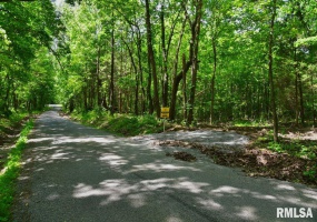 001 Robinson Hill Road, Stonefort, Illinois 62987, ,Land,For Sale,Robinson Hill,RMACA1036796