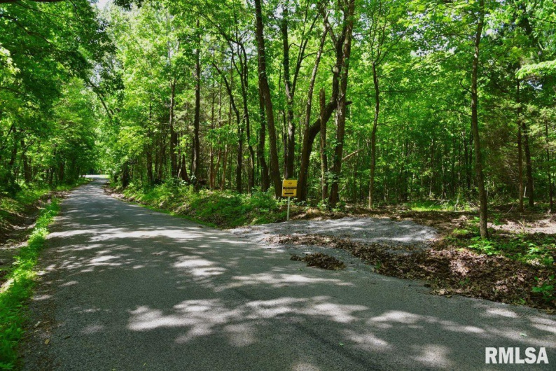 001 Robinson Hill Road, Stonefort, Illinois 62987, 0 , 0 ,0,Land,For Sale,Robinson Hill,0,RMACA1036796
