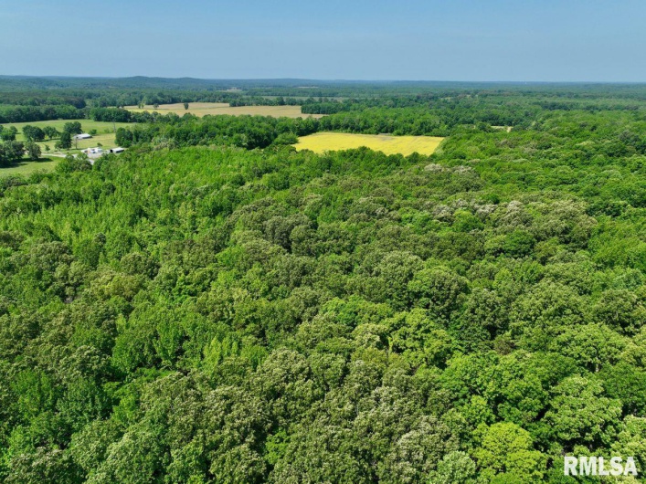 001 Robinson Hill Road, Stonefort, Illinois 62987, 0 , 0 ,0,Land,For Sale,Robinson Hill,0,RMACA1036796