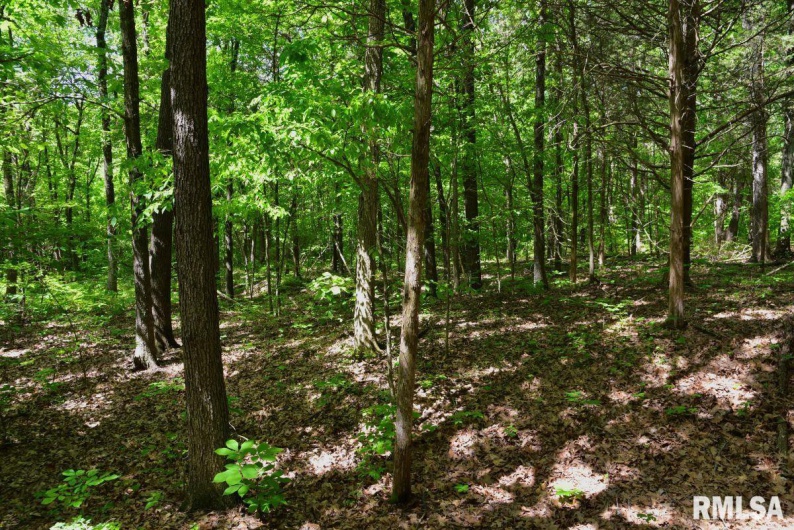 001 Robinson Hill Road, Stonefort, Illinois 62987, 0 , 0 ,0,Land,For Sale,Robinson Hill,0,RMACA1036796