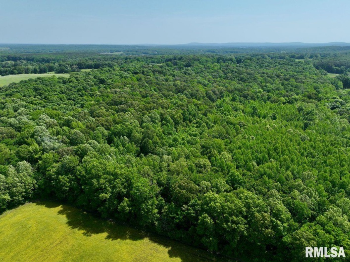 001 Robinson Hill Road, Stonefort, Illinois 62987, 0 , 0 ,0,Land,For Sale,Robinson Hill,0,RMACA1036796