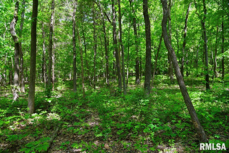 001 Robinson Hill Road, Stonefort, Illinois 62987, 0 , 0 ,0,Land,For Sale,Robinson Hill,0,RMACA1036796