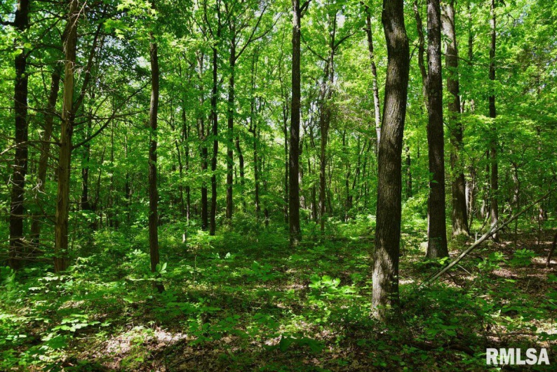 001 Robinson Hill Road, Stonefort, Illinois 62987, 0 , 0 ,0,Land,For Sale,Robinson Hill,0,RMACA1036796