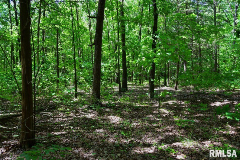 001 Robinson Hill Road, Stonefort, Illinois 62987, 0 , 0 ,0,Land,For Sale,Robinson Hill,0,RMACA1036796