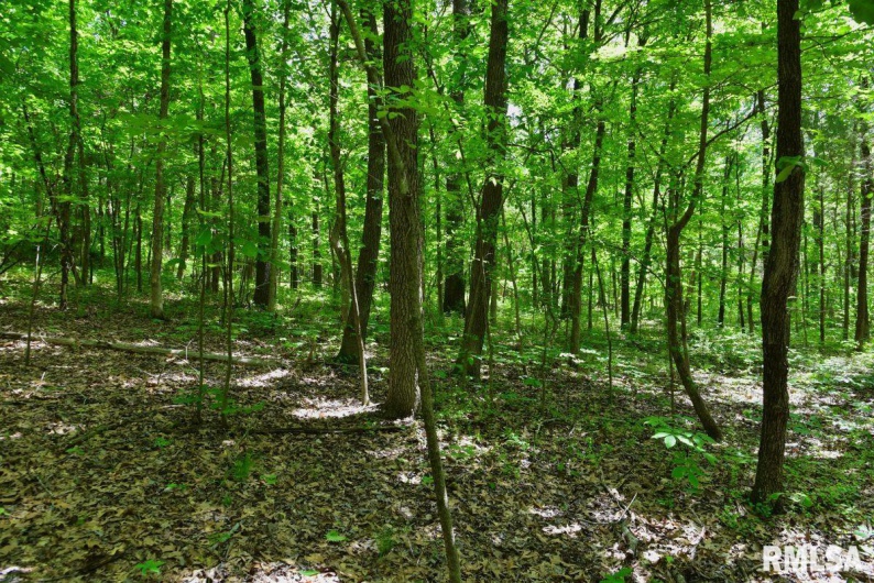 001 Robinson Hill Road, Stonefort, Illinois 62987, 0 , 0 ,0,Land,For Sale,Robinson Hill,0,RMACA1036796
