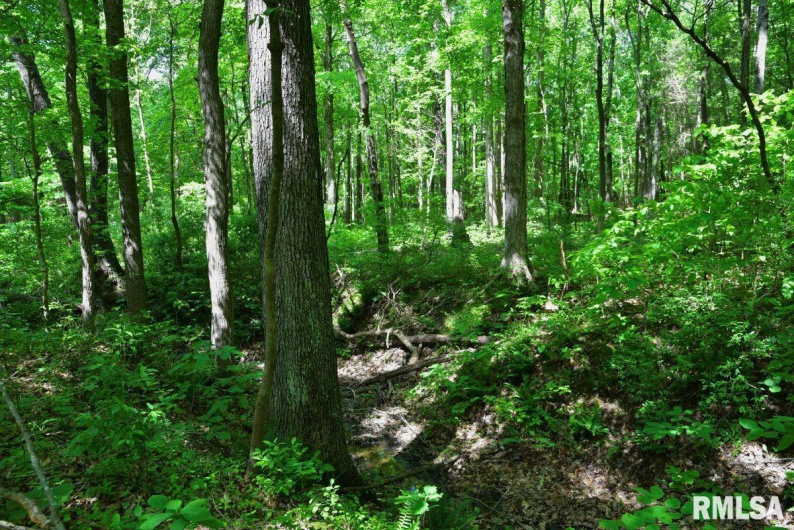 001 Robinson Hill Road, Stonefort, Illinois 62987, 0 , 0 ,0,Land,For Sale,Robinson Hill,0,RMACA1036796