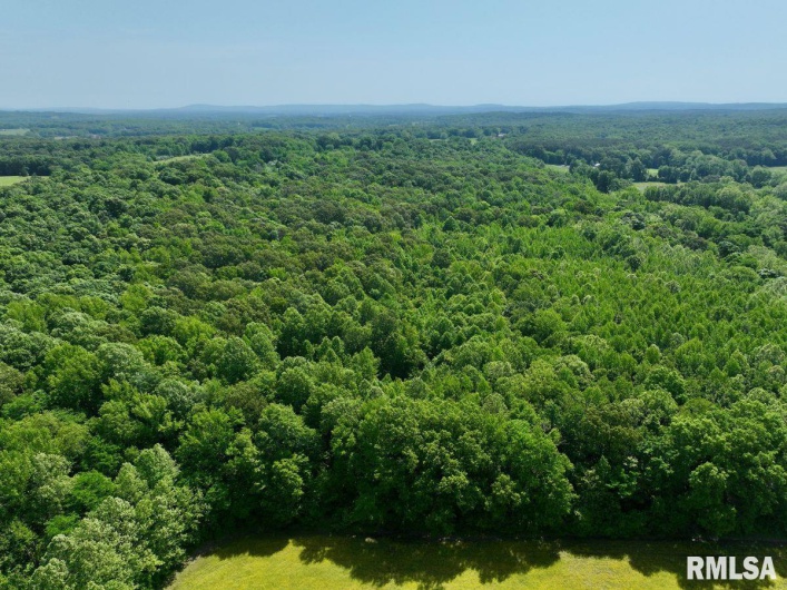001 Robinson Hill Road, Stonefort, Illinois 62987, 0 , 0 ,0,Land,For Sale,Robinson Hill,0,RMACA1036796