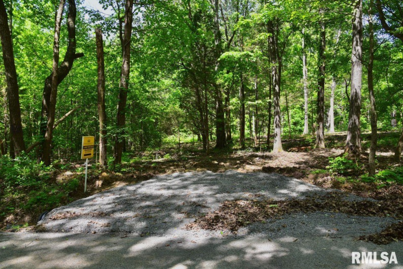 001 Robinson Hill Road, Stonefort, Illinois 62987, 0 , 0 ,0,Land,For Sale,Robinson Hill,0,RMACA1036796