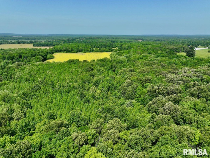 001 Robinson Hill Road, Stonefort, Illinois 62987, 0 , 0 ,0,Land,For Sale,Robinson Hill,0,RMACA1036796