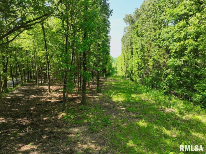 001 Robinson Hill Road, Stonefort, Illinois 62987, 0 , 0 ,0,Land,For Sale,Robinson Hill,0,RMACA1036796