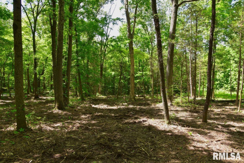 001 Robinson Hill Road, Stonefort, Illinois 62987, 0 , 0 ,0,Land,For Sale,Robinson Hill,0,RMACA1036796