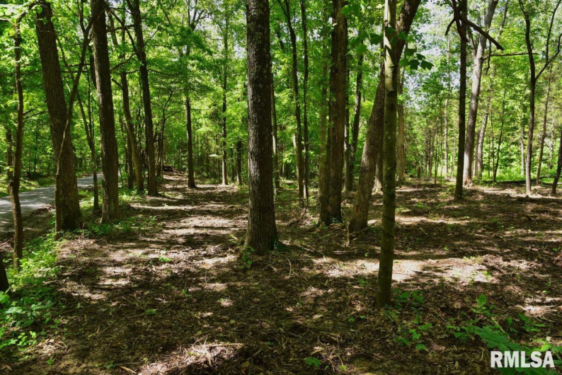 001 Robinson Hill Road, Stonefort, Illinois 62987, 0 , 0 ,0,Land,For Sale,Robinson Hill,0,RMACA1036796