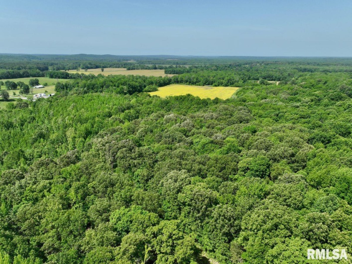 001 Robinson Hill Road, Stonefort, Illinois 62987, 0 , 0 ,0,Land,For Sale,Robinson Hill,0,RMACA1036796