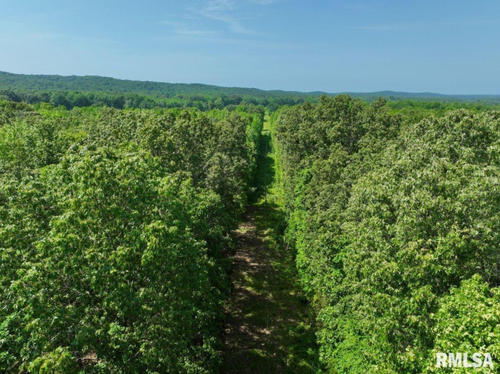 001 Robinson Hill Road, Stonefort, Illinois 62987, 0 , 0 ,0,Land,For Sale,Robinson Hill,0,RMACA1036796