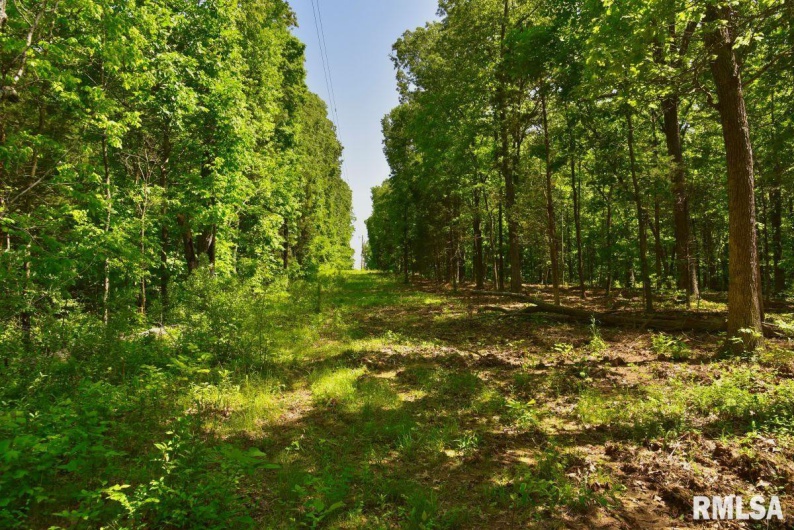 001 Robinson Hill Road, Stonefort, Illinois 62987, 0 , 0 ,0,Land,For Sale,Robinson Hill,0,RMACA1036796