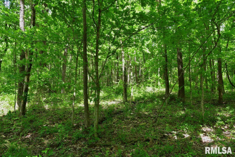 002 Robinson Hill Road, Stonefort, Illinois 62987, 0 , 0 ,0,Land,For Sale,Robinson Hill,0,RMACA1036797