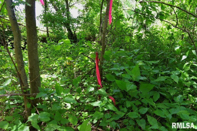 002 Robinson Hill Road, Stonefort, Illinois 62987, 0 , 0 ,0,Land,For Sale,Robinson Hill,0,RMACA1036797