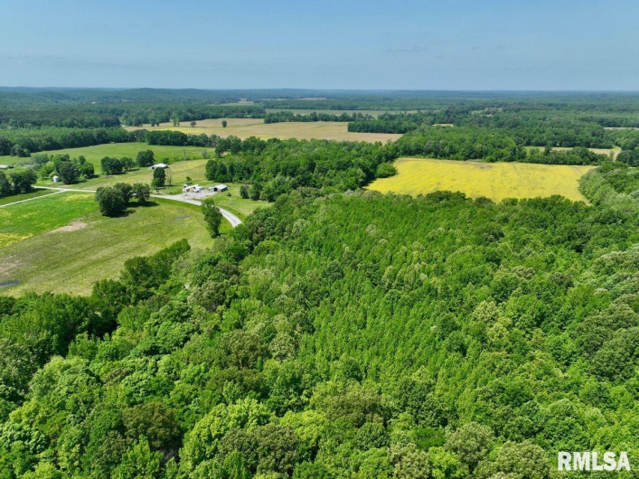 002 Robinson Hill Road, Stonefort, Illinois 62987, 0 , 0 ,0,Land,For Sale,Robinson Hill,0,RMACA1036797