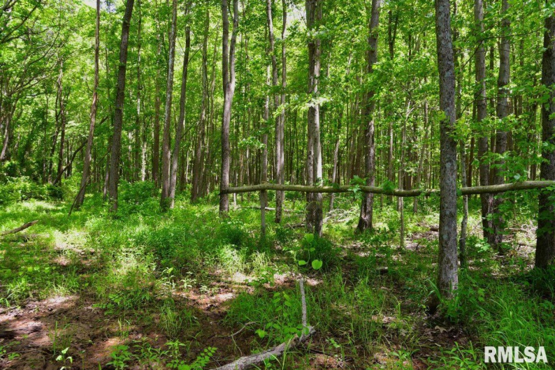 002 Robinson Hill Road, Stonefort, Illinois 62987, 0 , 0 ,0,Land,For Sale,Robinson Hill,0,RMACA1036797