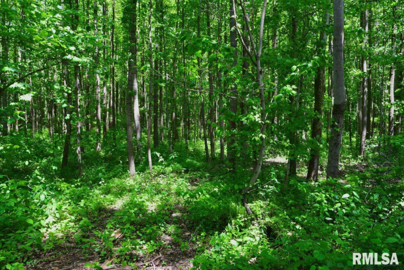 002 Robinson Hill Road, Stonefort, Illinois 62987, 0 , 0 ,0,Land,For Sale,Robinson Hill,0,RMACA1036797