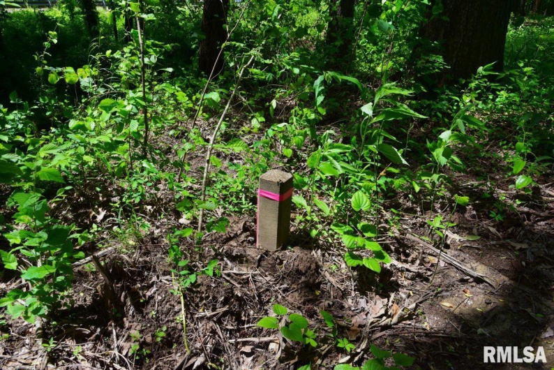 002 Robinson Hill Road, Stonefort, Illinois 62987, 0 , 0 ,0,Land,For Sale,Robinson Hill,0,RMACA1036797