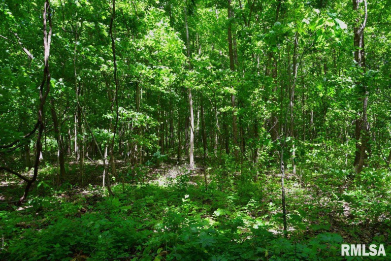002 Robinson Hill Road, Stonefort, Illinois 62987, 0 , 0 ,0,Land,For Sale,Robinson Hill,0,RMACA1036797