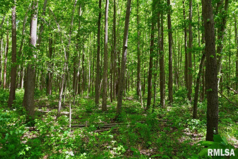 002 Robinson Hill Road, Stonefort, Illinois 62987, 0 , 0 ,0,Land,For Sale,Robinson Hill,0,RMACA1036797