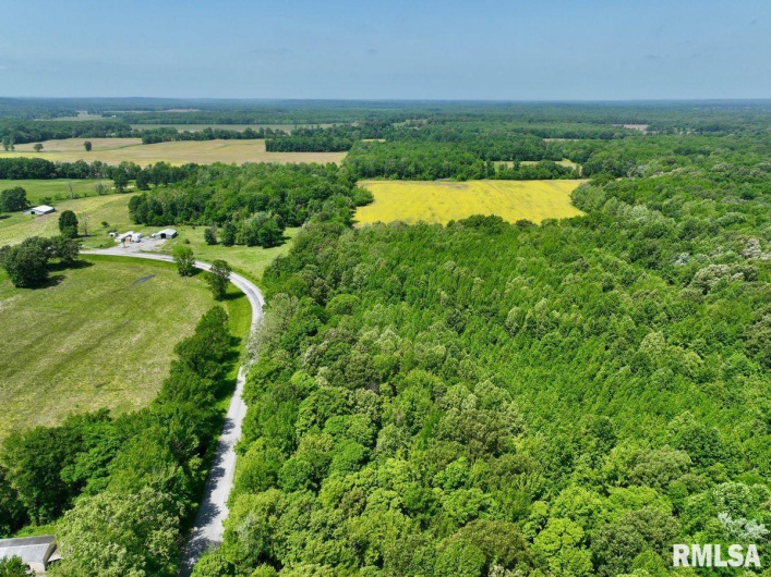 002 Robinson Hill Road, Stonefort, Illinois 62987, 0 , 0 ,0,Land,For Sale,Robinson Hill,0,RMACA1036797